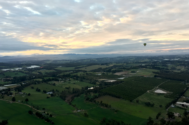 Melbourne’s spectacular surrounds – Yarra Valley and Phillip Island