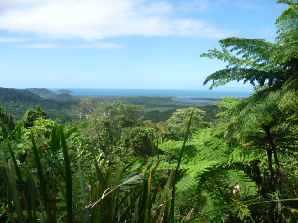 Wild adventures in the Daintree, North Queensland - For the Love of Travel