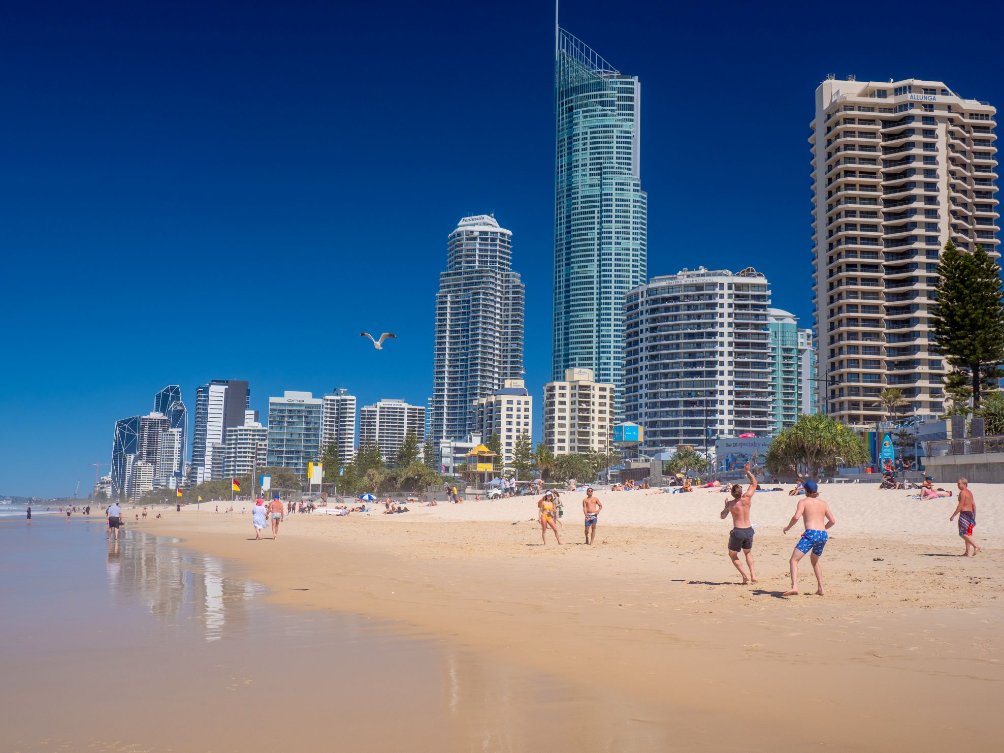 Summer Sizzle in Surfers Paradise