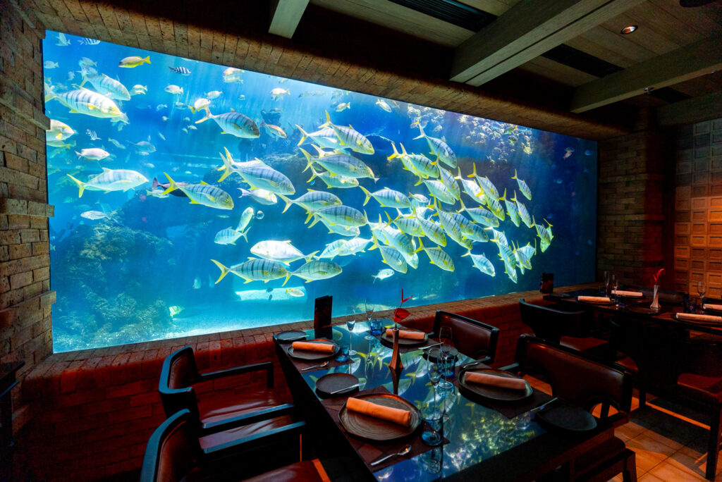 Dining with the colourful fish at Koral Restaurant at Apurva Kempinski Bali Harmeet Sehgal