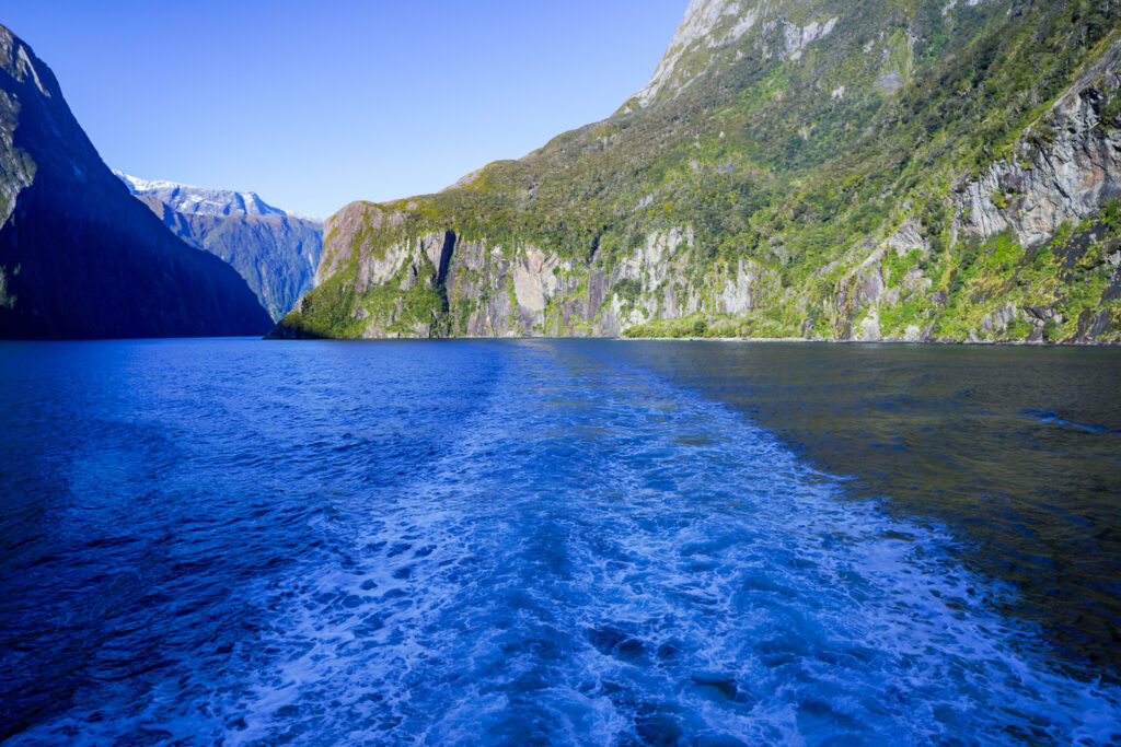 Cruising through the Fjords of the Sounds. Photo: Harmeet Sehgal