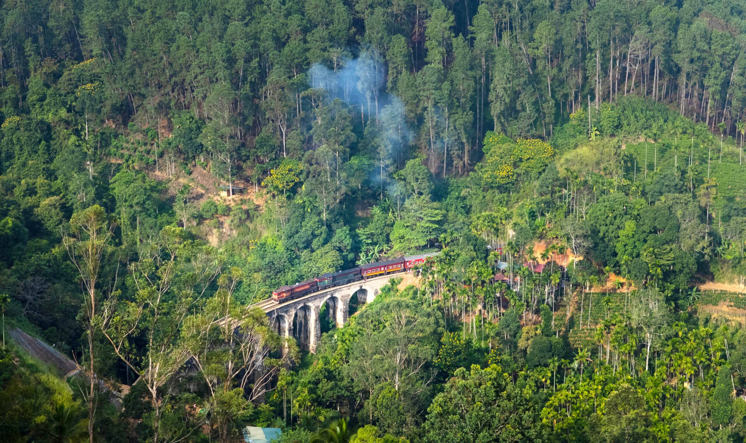 From Misty Peaks to Wild Shores: Traversing Sri Lanka’s Sacred Highlands and Southern Coast