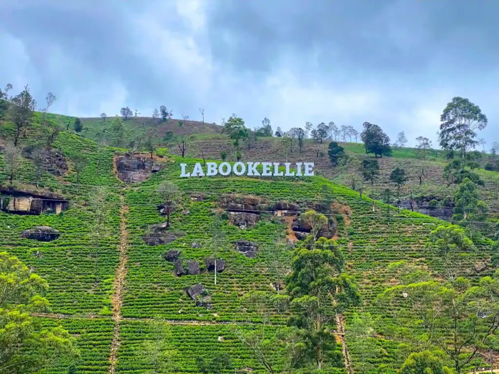 Labookellie Tea Estate, Nuwara Eliya, Sri Lanka. Photo: Harmeet Sehgal
