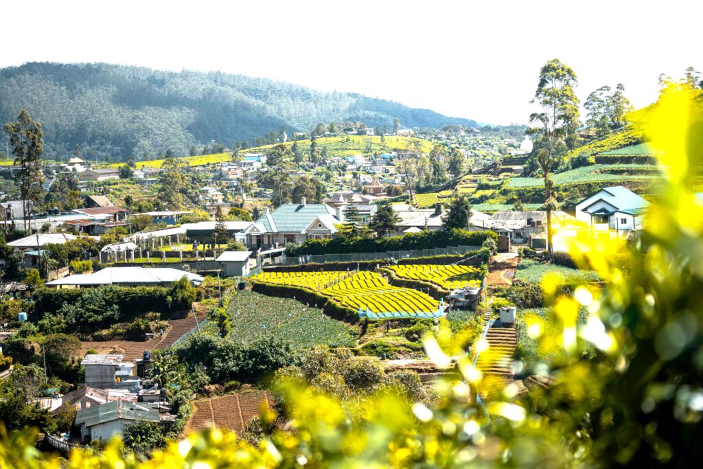 Nuwara Eliya township, Sri Lanka